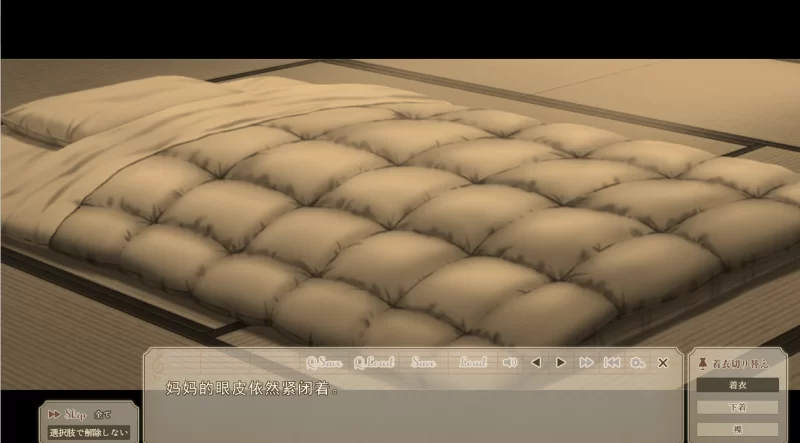 【PCAI汉化全CG存档】虜ノ系列11部合集 [11+38G][百度盘]