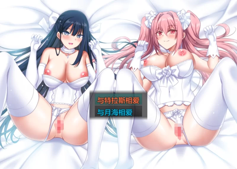 （pc）堕落神姬与奈落之王 [1+2G][百度盘]