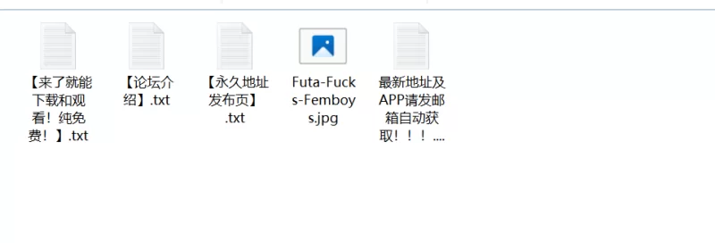 【PC/欧美/SLG/官中/】扶她×伪娘 [1+1.27G][百度盘]