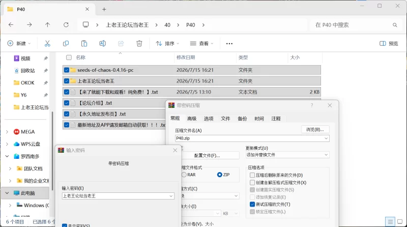 [双端/2D/SLG/神作/全CG/中文/最新]混沌种子 Seeds of Chaos v0.4.16 [4+3.4G][百度盘]