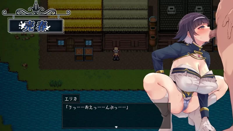 双端 救世谭 勇者艾丽卡即使堕落也面向明天 汉化+作弊码 [2+3.4g][百度盘]