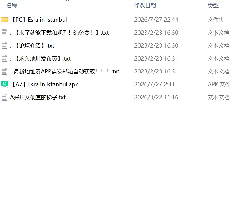 【SLGPC安卓AI汉化v0.5】伊斯坦布尔埃斯拉 [1+4.5G][百度盘]