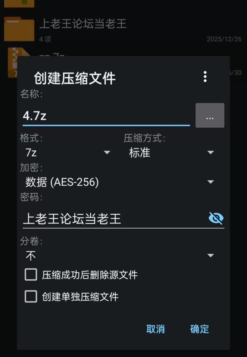 【pc】敬虔圣女瑟蕾娜 敬虔なる聖女のセレニア 官中版 [1+0.55g][百度盘]