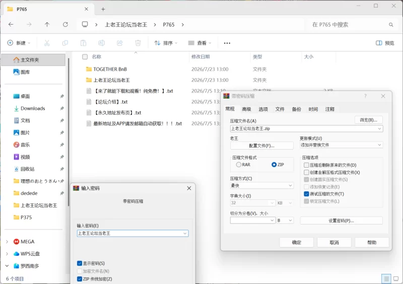 [PC/3D/SLG/神作]想和你在一起/与你在一起 TOGETHER BnB V20260213 [6+26.9G][百度盘]