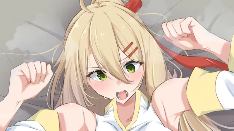 PC【RPG/官中】堕落的圣痕:夜行传令 v1.12/堕ちた聖痕:夜行… [1+2.55g][百度盘]