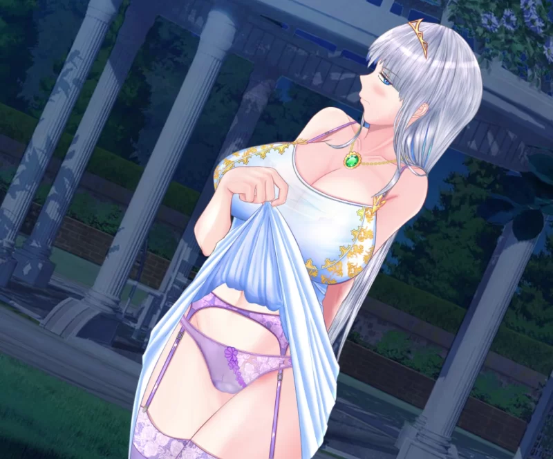 PC+安卓催眠NTR影奸】连公主也能参与的NTR计划 内嵌汉化+全CG [1+5G][百度盘]
