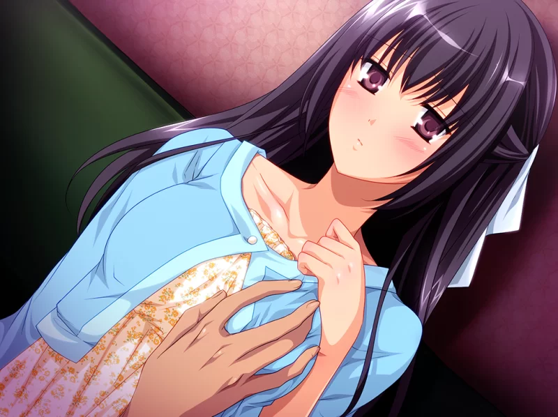 [PC/汉化/后宫/怀孕/人妻/恶堕/孕肚]すたじおもみじ社系列合集 [1+10g][百度盘]