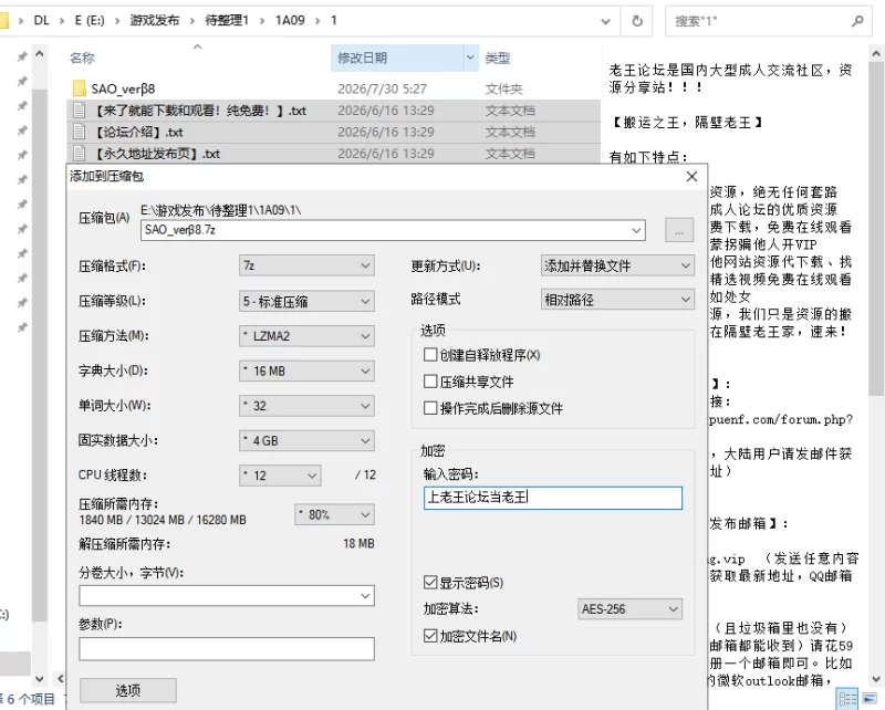 【官中步兵/PC】刀剑 SAO~气息遮断魔法陷阱 Ⅱ β8 存档 [2+7.2G][多种下载方式]