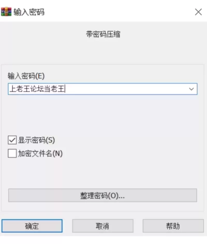 [PC+安卓/SLG/官中/步兵]探查器 侧写者 Profiler v0.4.3.1 [1+5.4g][百度盘]