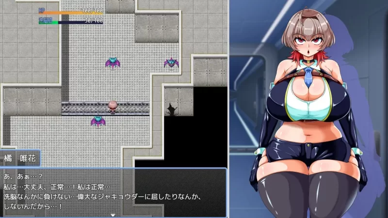PC–ヒロインズミッション 美少女スパイが悪の組織に潜入… [1+1.21G][百度盘]