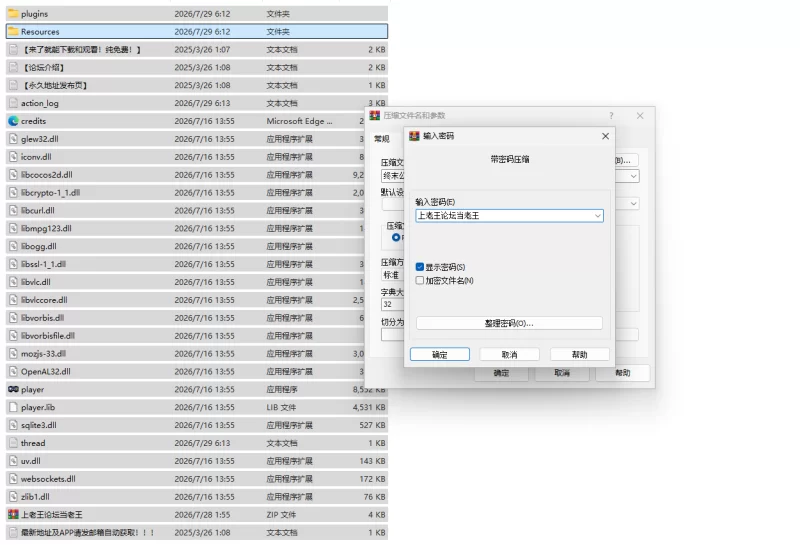 [PC/ACT/汉化/像素动态]终末公主舒尔斯特蕾 -尊严破坏模拟器 [1+172MB][百度盘]