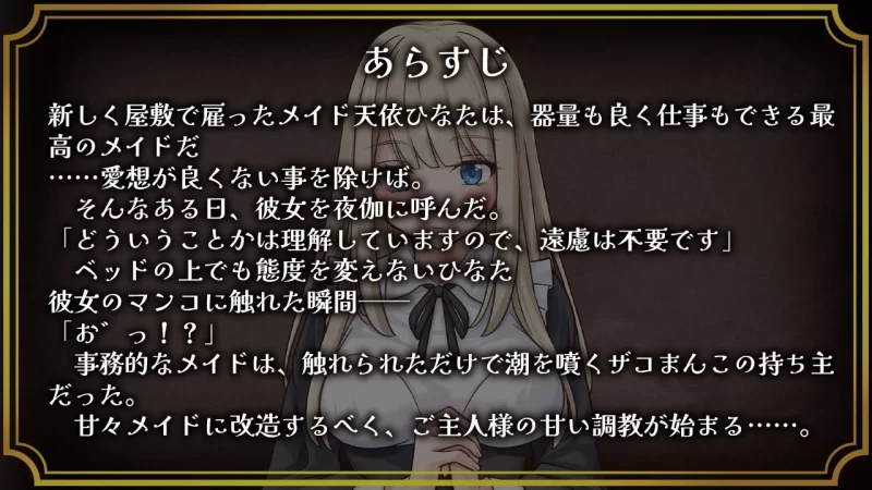 【RPG/安卓】事务型女仆是杂鱼阴道 [1+193.4M][百度盘]