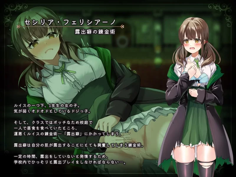 PC+安卓–魔术学院的落魄炼金术师 魔術学校の落ちこぼれ… [1+4.96G][百度盘]
