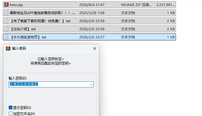 PC更新[街机ACT/战斗H/全动态] 真红玛瑙  v0.148.1 官中步兵版+作弊+存档 [3.70G] [1+3.7G][百度盘]