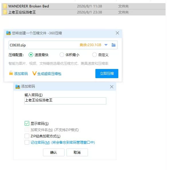 pc流浪者：破碎之床 Wanderer: Broken Bed v1.0 官中步兵版 [1+2.26g][百度盘]