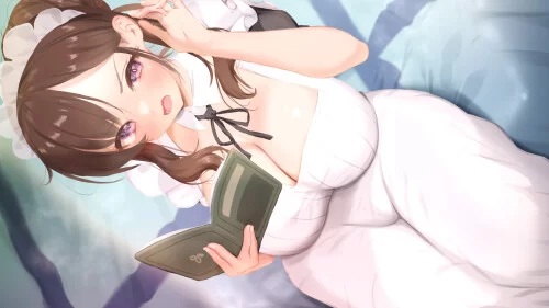 PC–妈妈为何这样 He Maid Her Fall v0.9.3 [1+4.63G][百度盘]