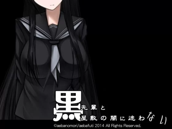 【RPG/安卓】黑学姐和黑屋子我不再迷茫 [1V+95.4M][百度盘]