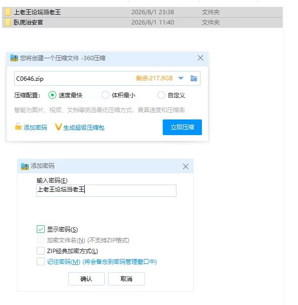 pc臥底治安官 Hidden Badge v260729b 官中步兵版 [1+416m][百度盘]