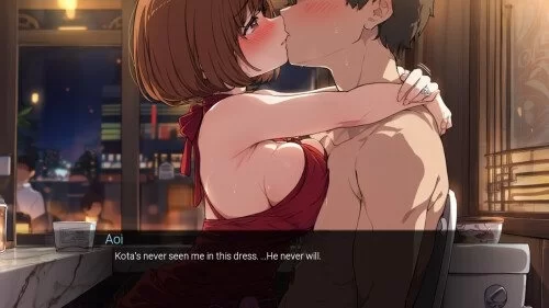 【pc】NTR酒店 NTR Hotel 官中步兵版 [1+1.1g][百度盘]