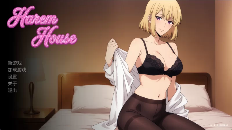 [PC/安卓/同人SLG]后宫之家 Harem House V0.1.3 Public 汉化动态步兵 [4+401M+413M][多种下载方式]