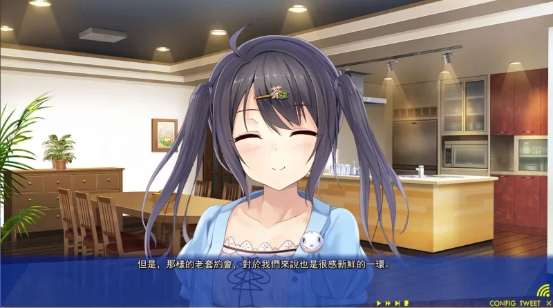 [ADV/PC/汉化]未来广播与人工鸽 [1+2.29GB][百度盘]