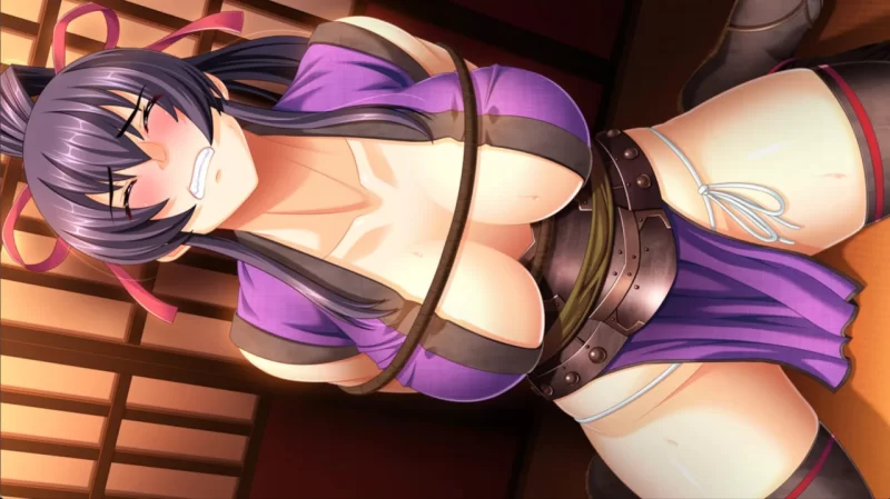 [ADV/PC/汉化]巨乳女忍者朱雀 触手喷水惩罚 [1+4.51GB][百度盘]