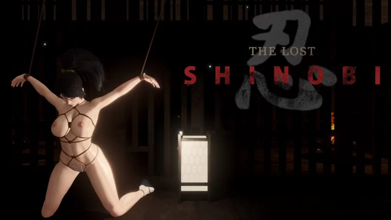 [ACT官中PC]迷失的忍者 The Lost Shinobi v0.1.39 [1+1G][百度盘]