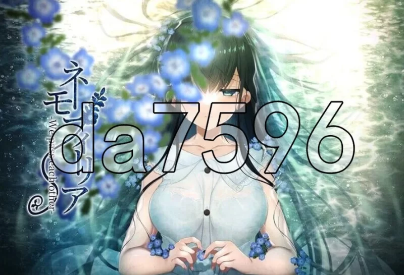 pc喜林草 -我们擦肩而过- ネモフィリア -We pass each other- v1.3… [1+1.38g][百度盘]