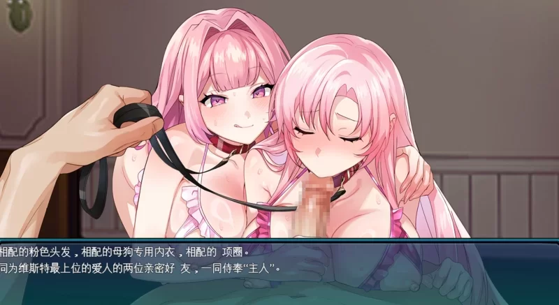 [新增安卓PCRPG内嵌汉化] 夺略少女蕾拉～为世献身的供牺契约 夺略少女レイラ v1.0[1G] [1+1G][百度盘]