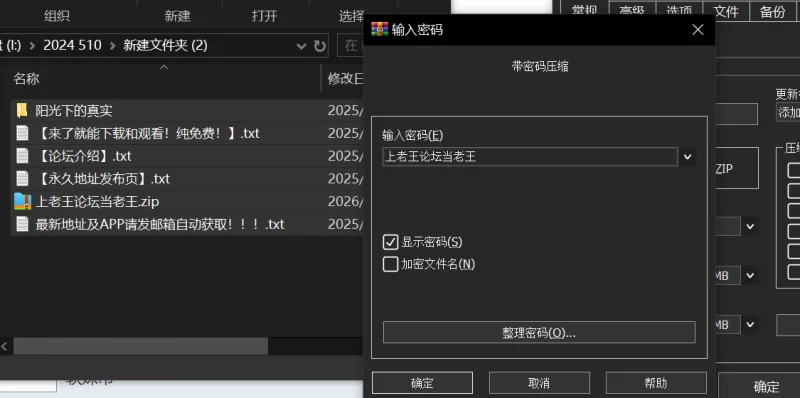 【PC】经典老游戏阳光下的真实步兵 [1+518MB][百度盘]