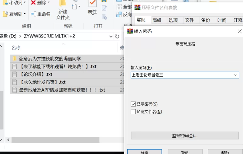 [端游ADV全CG无码精翻]恣意妄为并擅长乳交的玛丽同学 [1+1.64GB][百度盘]