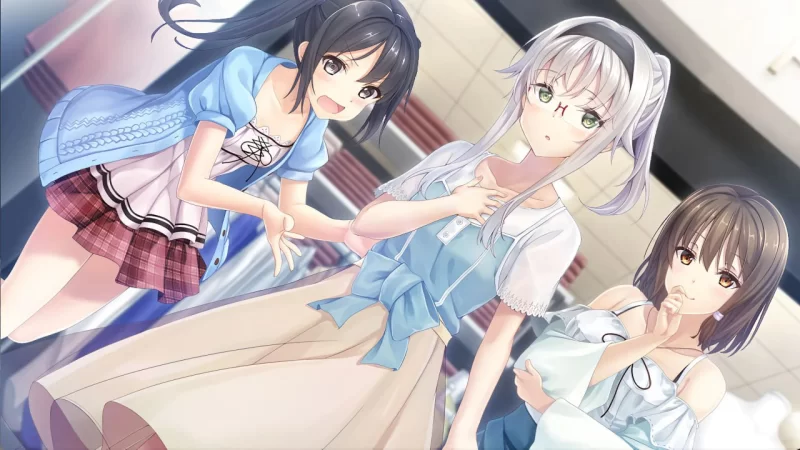 [ADV/PC/汉化]未来广播与人工鸽 [1+2.29GB][百度盘]