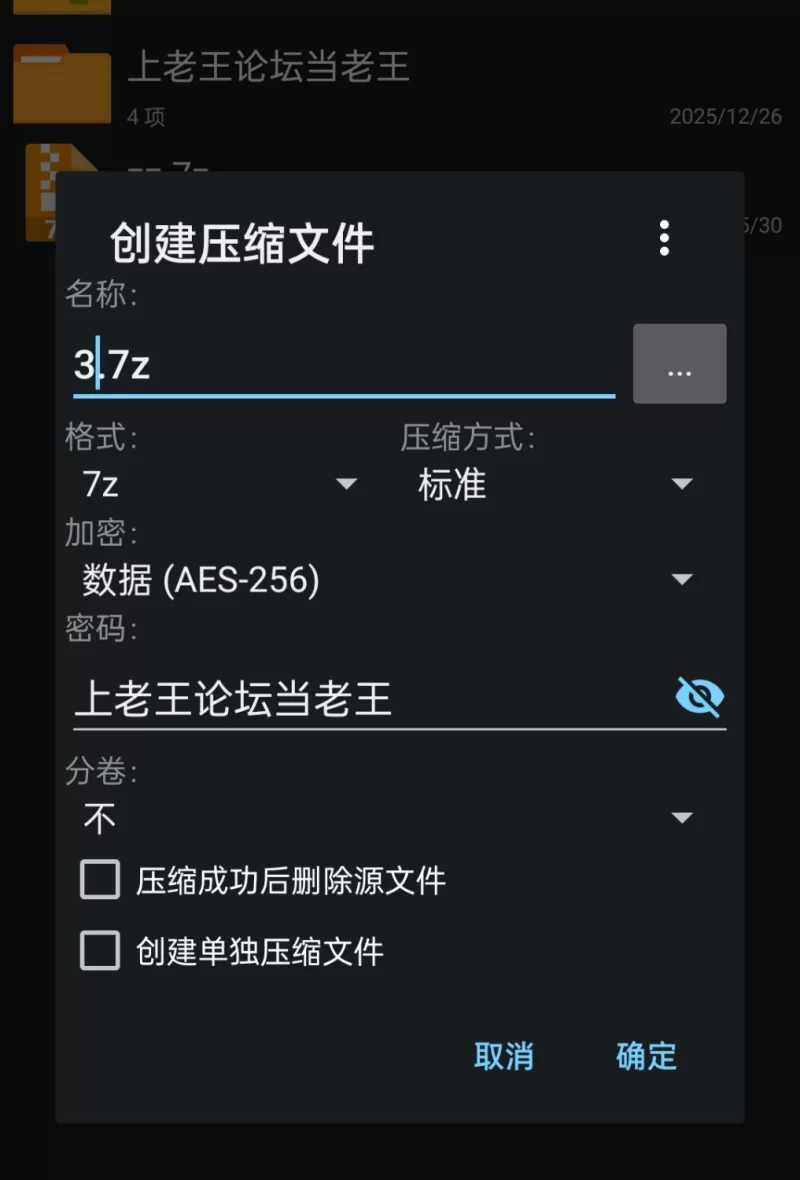 【pc】神聖之化身 ～古法儀式與雙生的世界～ v1.0.3 官中 [1+1g][百度盘]