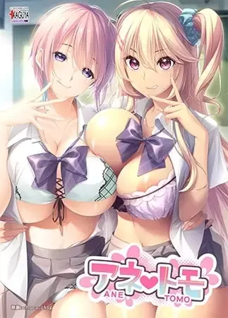 [ADV汉化PC全CG存档]アネトモ 辣妹姐姐 姐姐的朋友 [1+3G][百度盘]