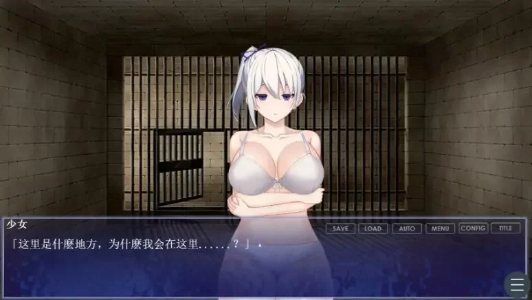 【PC】调教师与终将成为奴隶的少女 官方中文版+日系ADV游戏 [1P+0.6G][百度盘]