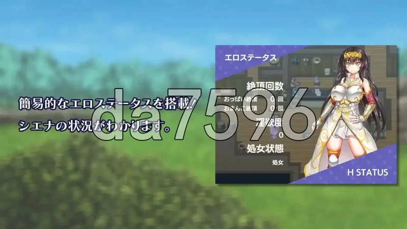 [日式RPG/新作] 冒险者雪娜 冒険者シエナ v1.0.0 官中步兵版 [1+690M][百度盘]