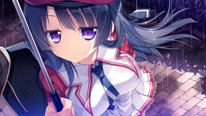 PC[ADV/校园]懵懂初心 Primal Hearts 2 官中 [1+4.4g][百度盘]