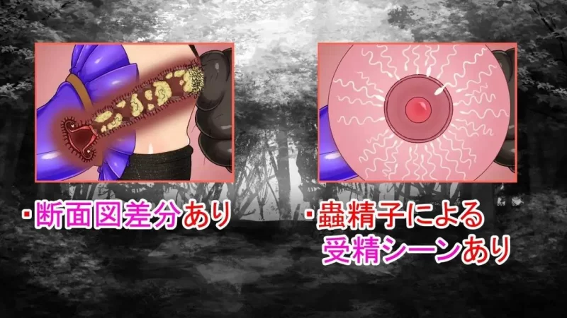 pc[RPG官中NTR]NTRRPG外传～虫奸之书v1.1 官中版 [1+500mb][百度盘]