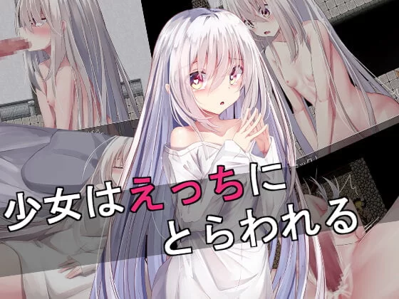 新汉化[PC/汉化/迷宫/逃脱] 少女陷入好色 [1+2.29G][百度盘]