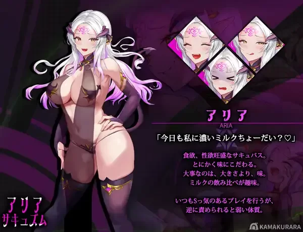 魅魔咏叹调 アリアサキュズム 汉化版 pc [1+800mb][百度盘]