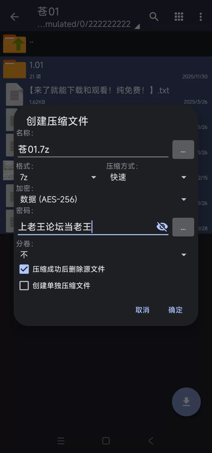 【亚洲风SLG/中文/动态】回响：自欺之谎/ Ep.3 PC+安卓直装官方中文版 [1+5g][百度盘]