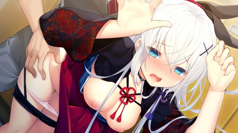 [汉化/ADV/PC/全CG存档]红叶与单间公寓 ～某个夏日的一天～ [1+557m][百度盘]
