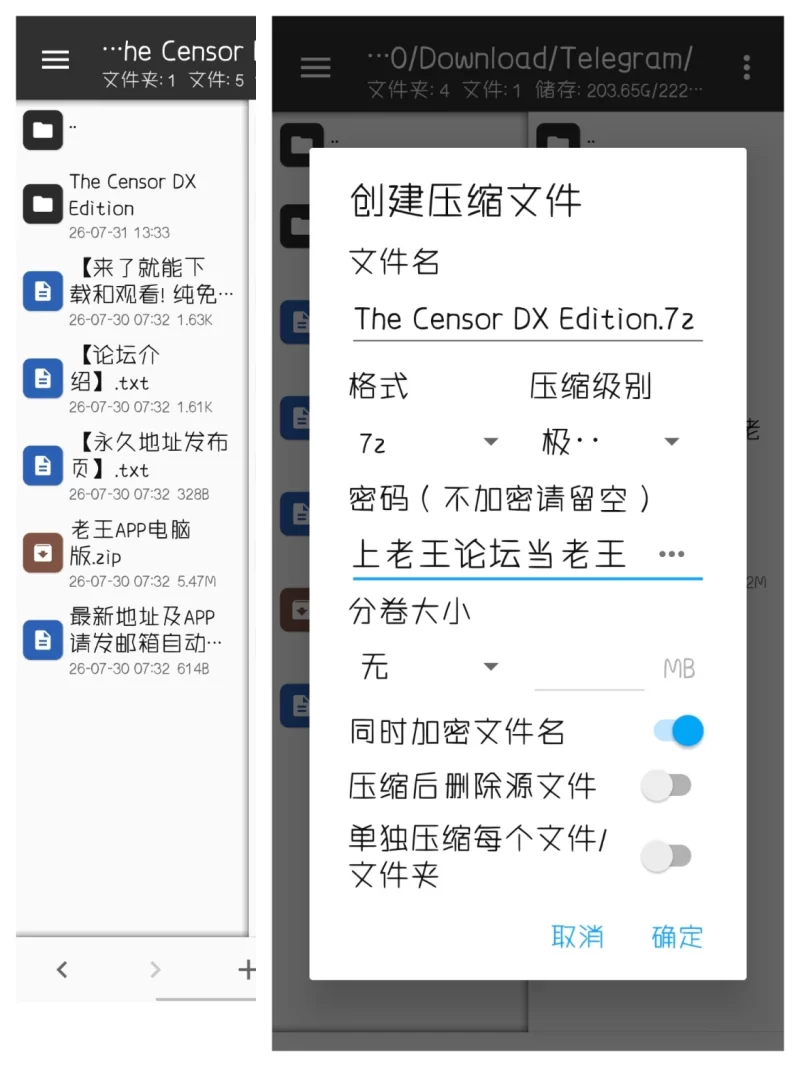 ［PC/SLG］社群审查 DX  v5.0.6s 官方中文步兵版 [1+1.9G][百度盘]