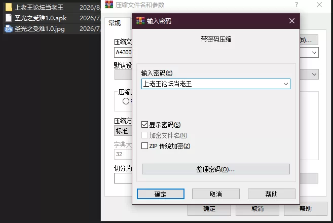 PC+安卓–圣光之少女艾莉丝的受难 聖光ノ乙女 アイリスの… [1+1.2G][百度盘]