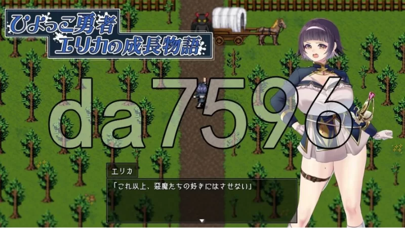 pc救世谭～勇者艾丽卡即使堕落也依然面向明天 v1.03 AI汉化版 [1+1.55g][百度盘]