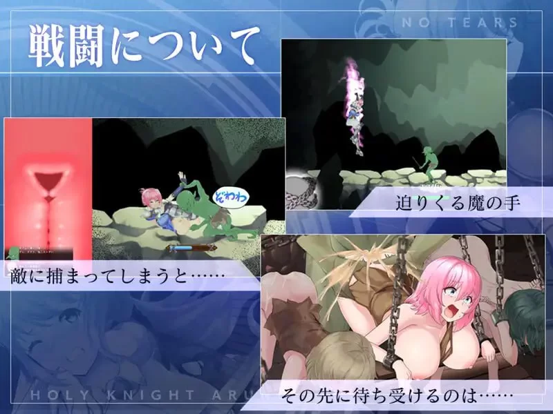 【ACT官方AI汉化PCCV动态】聖騎士アルネと魔孕の呪印 [1+1.3G][百度盘]