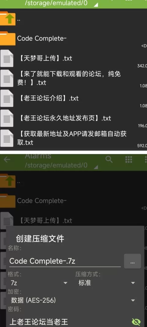 【PC/精品像素/ 动态】诺艾尔作者新作-露露的城镇建设 [1+1G][百度盘]