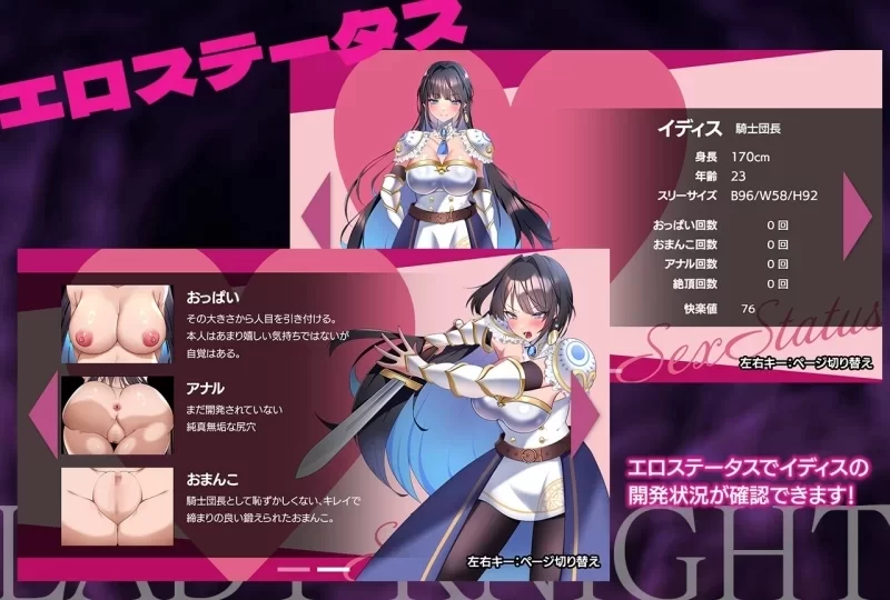 [RPG/堕落/战斗H/PC] 夜之女骑士-淫魔的迷宫 AI汉化版+作弊 [3+394M][百度盘]
