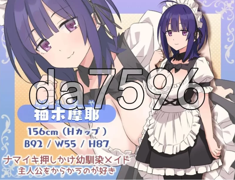 H、女仆与我家 Hとメイドとマイホーム ver2 PC+安卓 内嵌AI… [1+1.53g][百度盘]