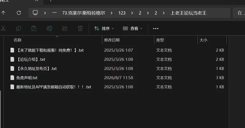 PC [RPG/ai汉化/恶堕]克莱尔·斯特拉格尔v1.04 [2+700M][百度盘] [2+700M][百度盘]